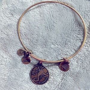 Alex and Ani bracelet- Scorpio Horoscope Charm Stackable
